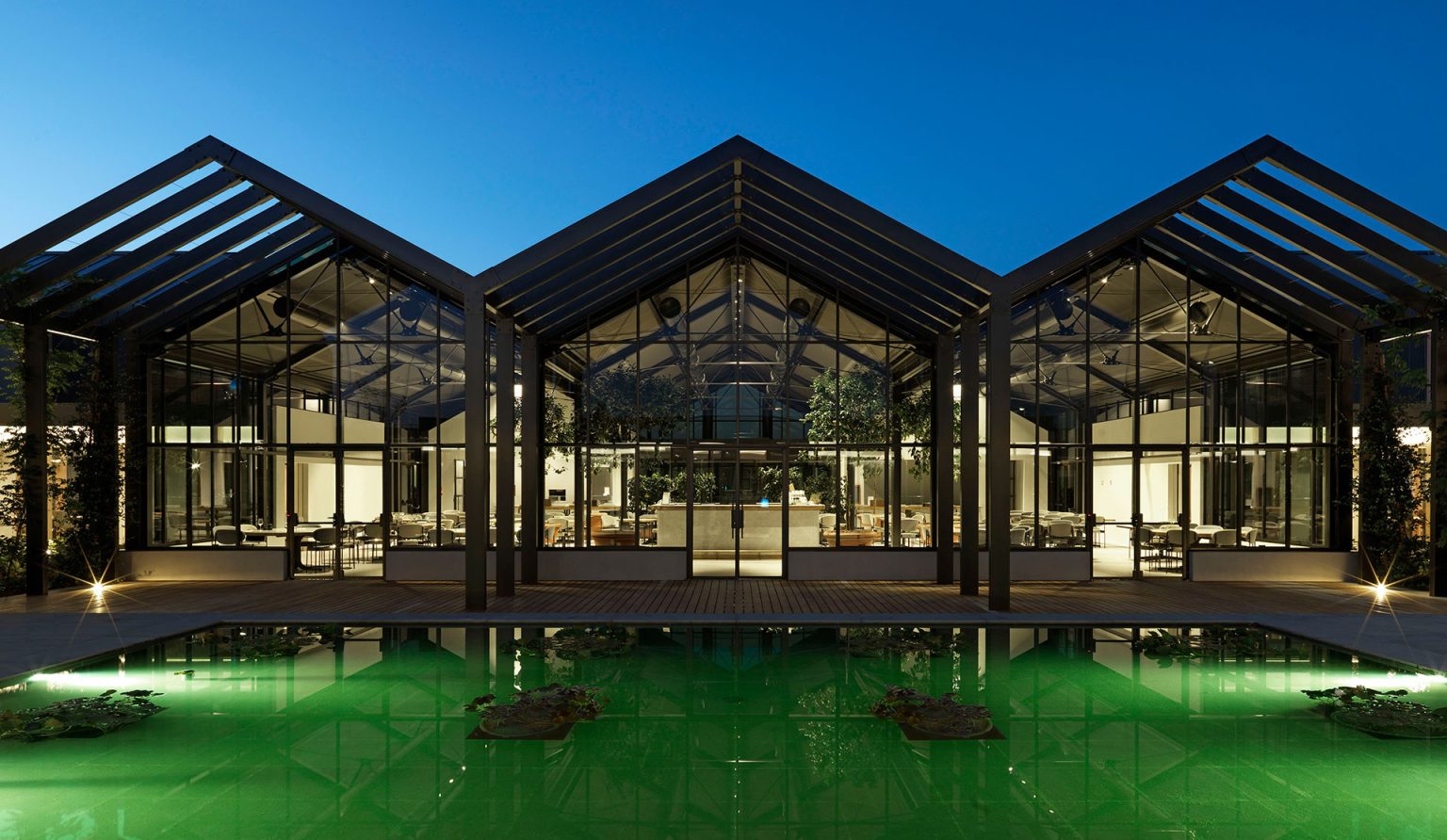 Concept for Davines Group Village: the glasshouses lit at dusk above a reflecting pool