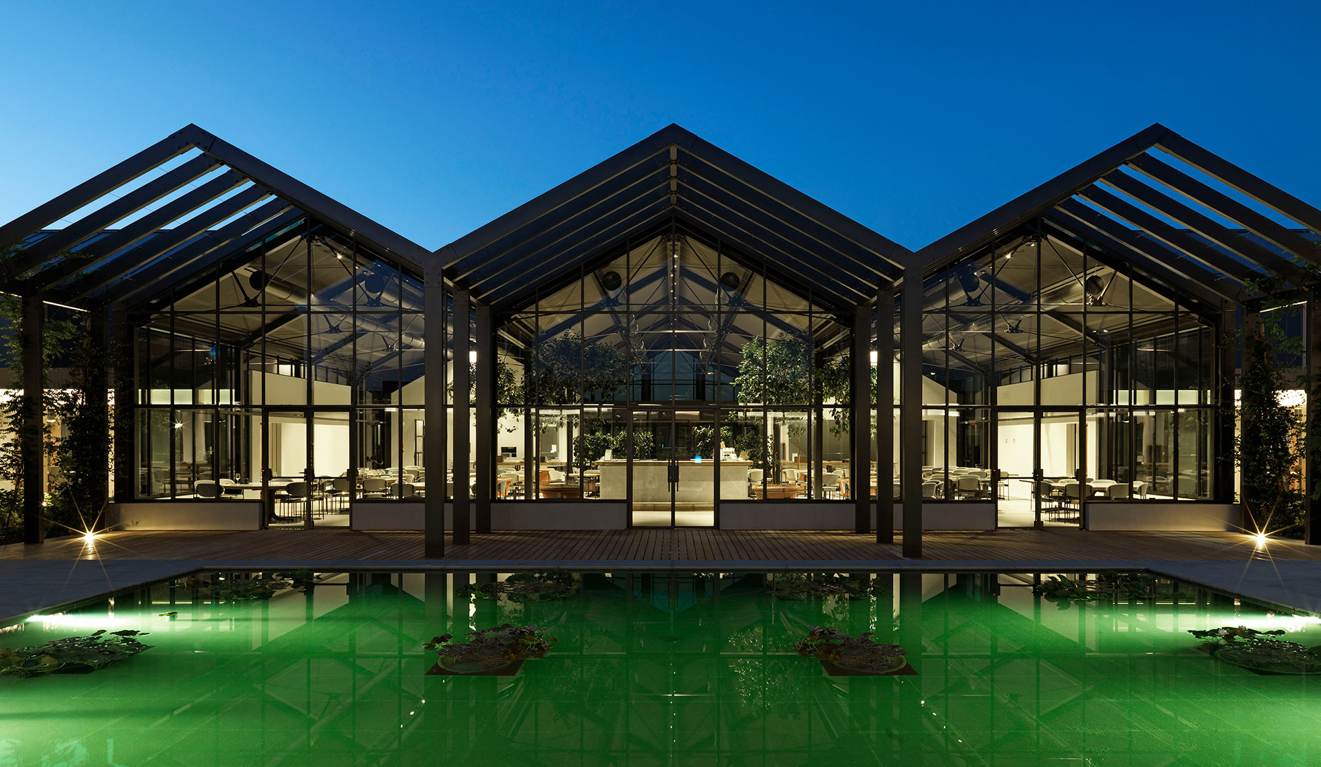 Concept for Davines Group Village: the glasshouses lit at dusk above a reflecting pool