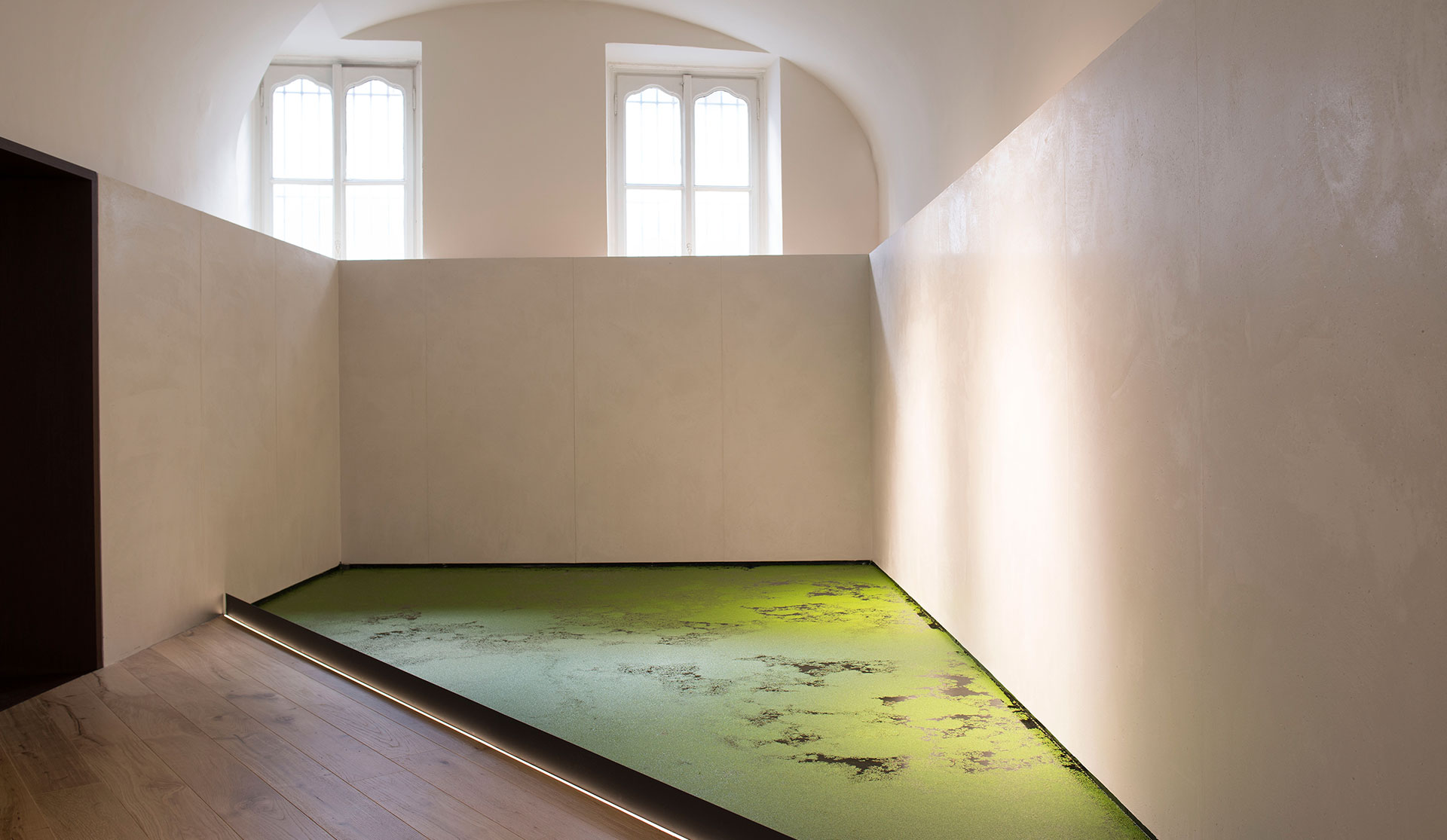 Room with a shallow green water surface and plastered walls, an installation for Elle Decor Grand Hotel Design Therapy.
