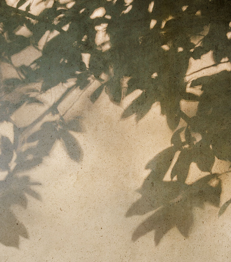Sensi Collection by Florim: leaf shadows on a stone-effect surface