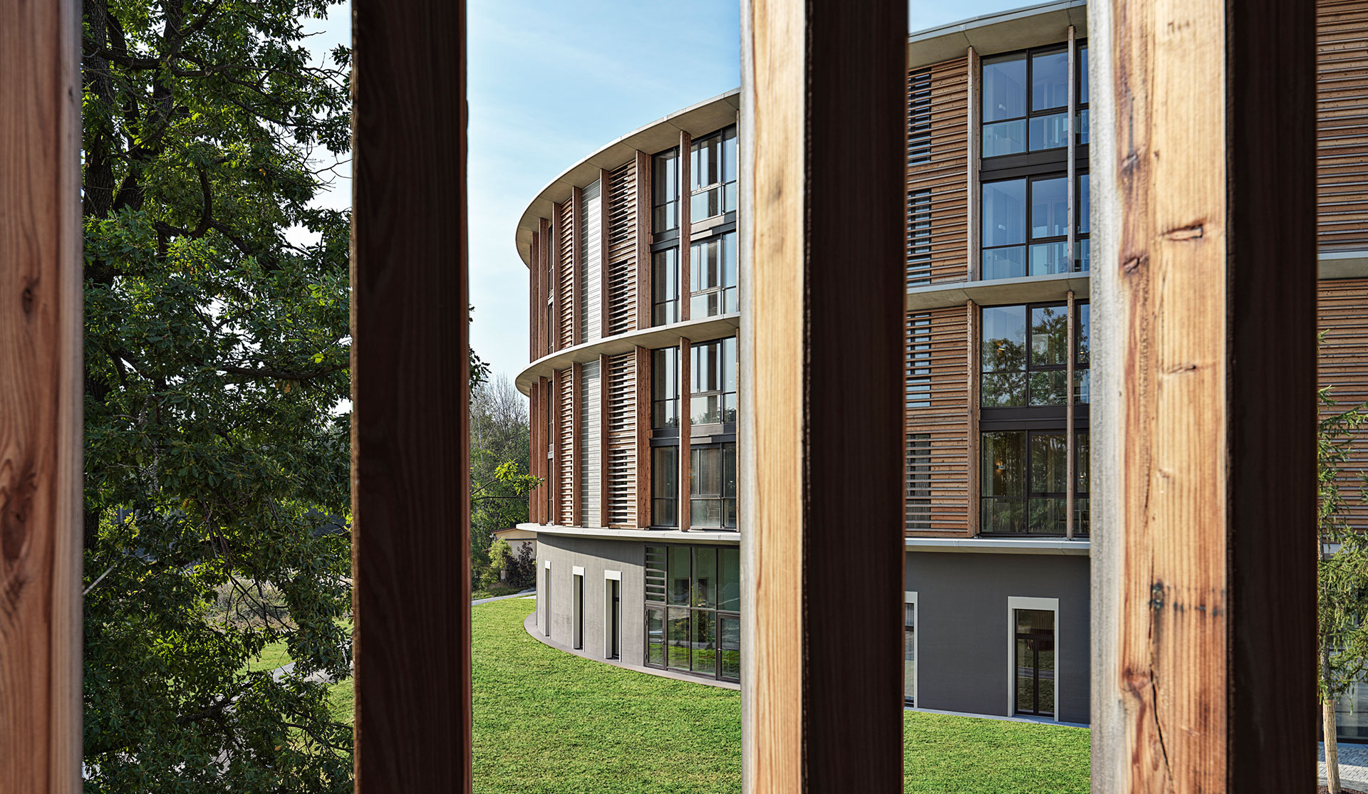Waldkliniken Eisenberg: curved facade seen between timber columns