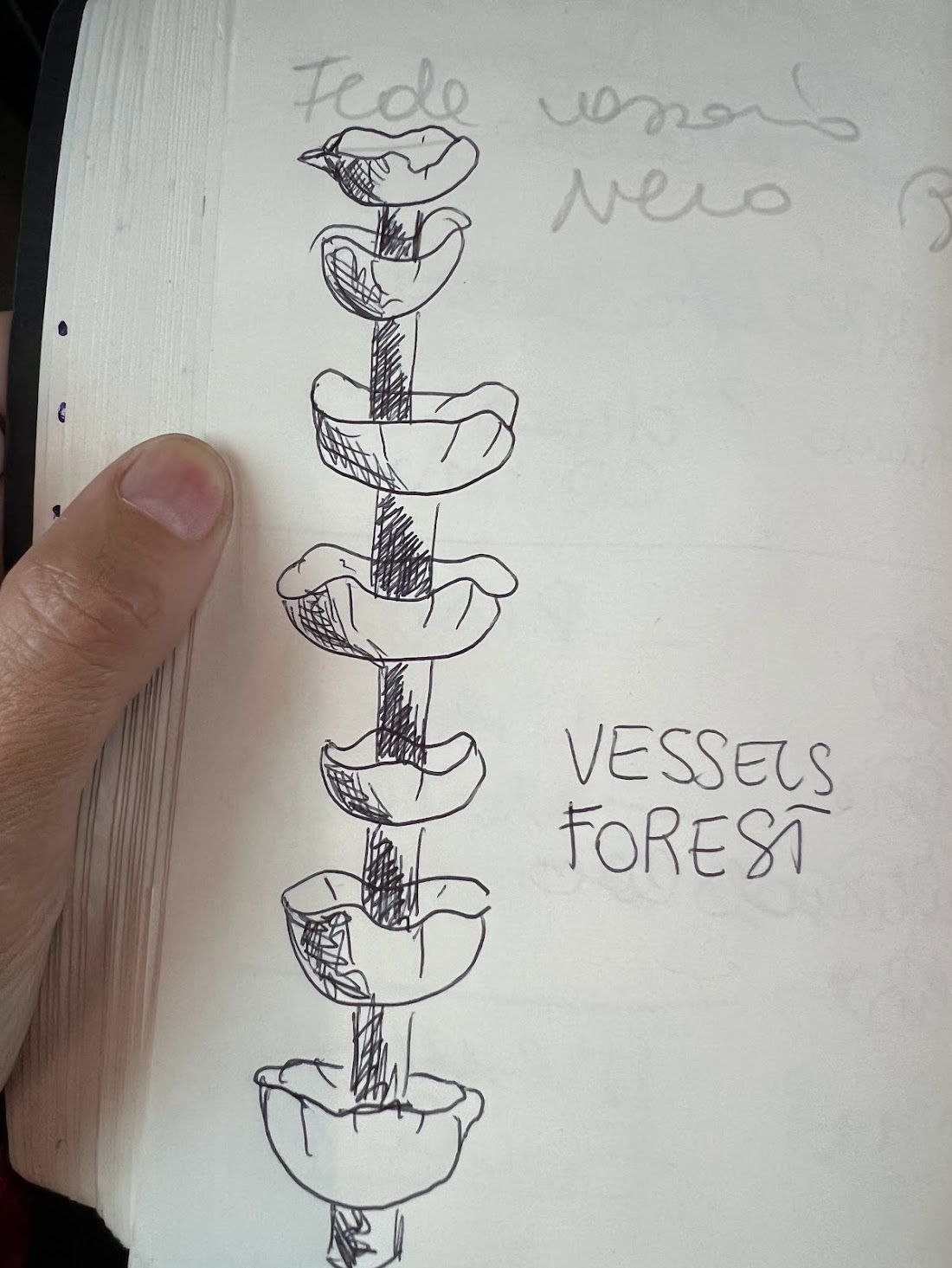 Elena Pelosi Studio: schizzo a mano di vasi ondulati impilati, intitolato Vessels Forest