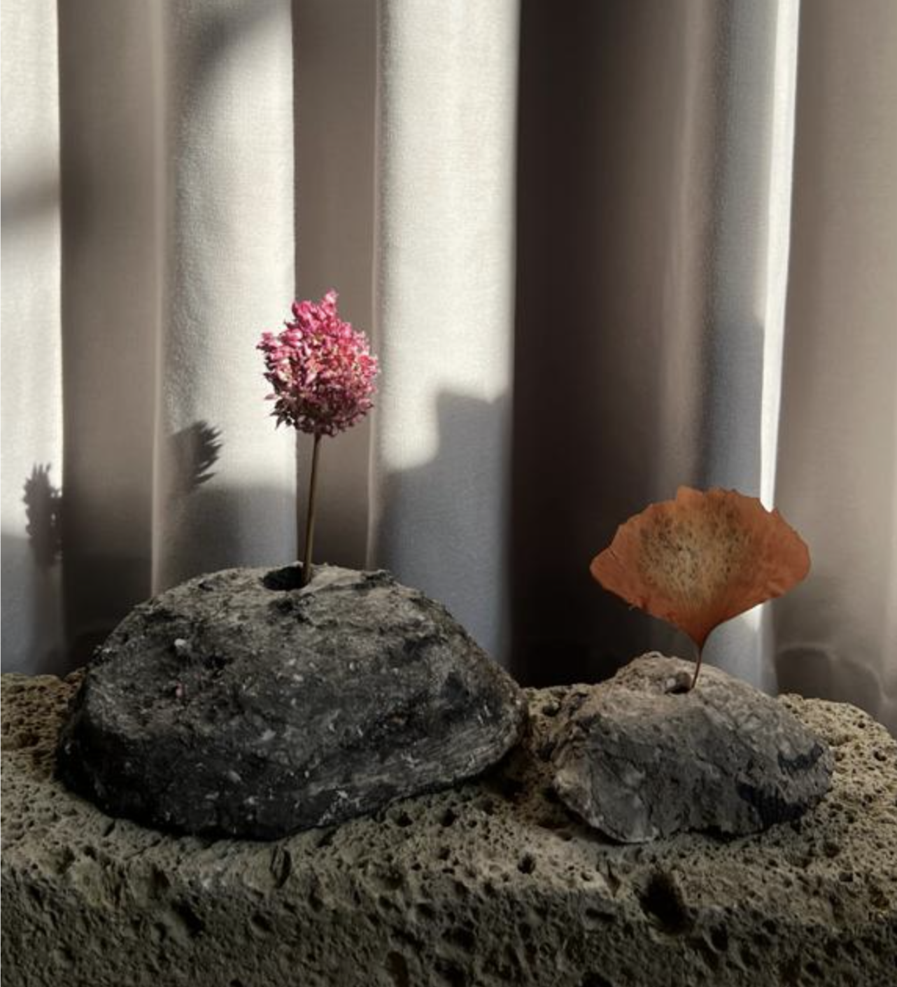 vases