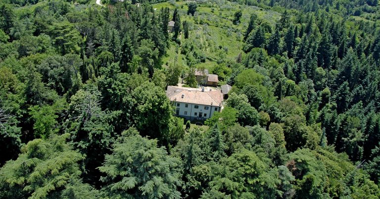 Self Habitat Cultura: aerial view of a villa surrounded by forest