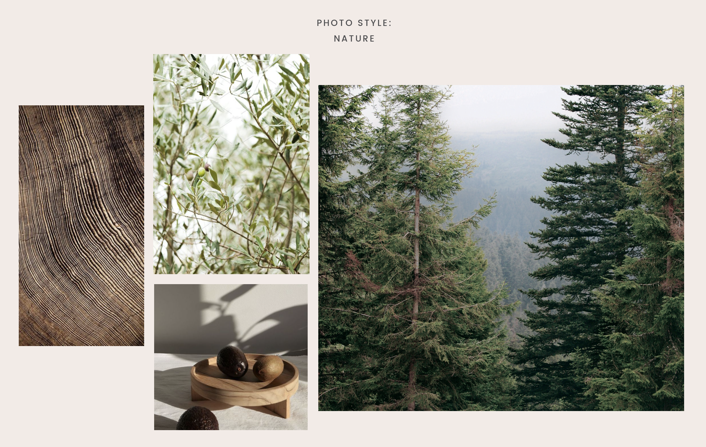 Effebiquattro Milano brand image: mood page with wood grain, olive leaves and a pine forest