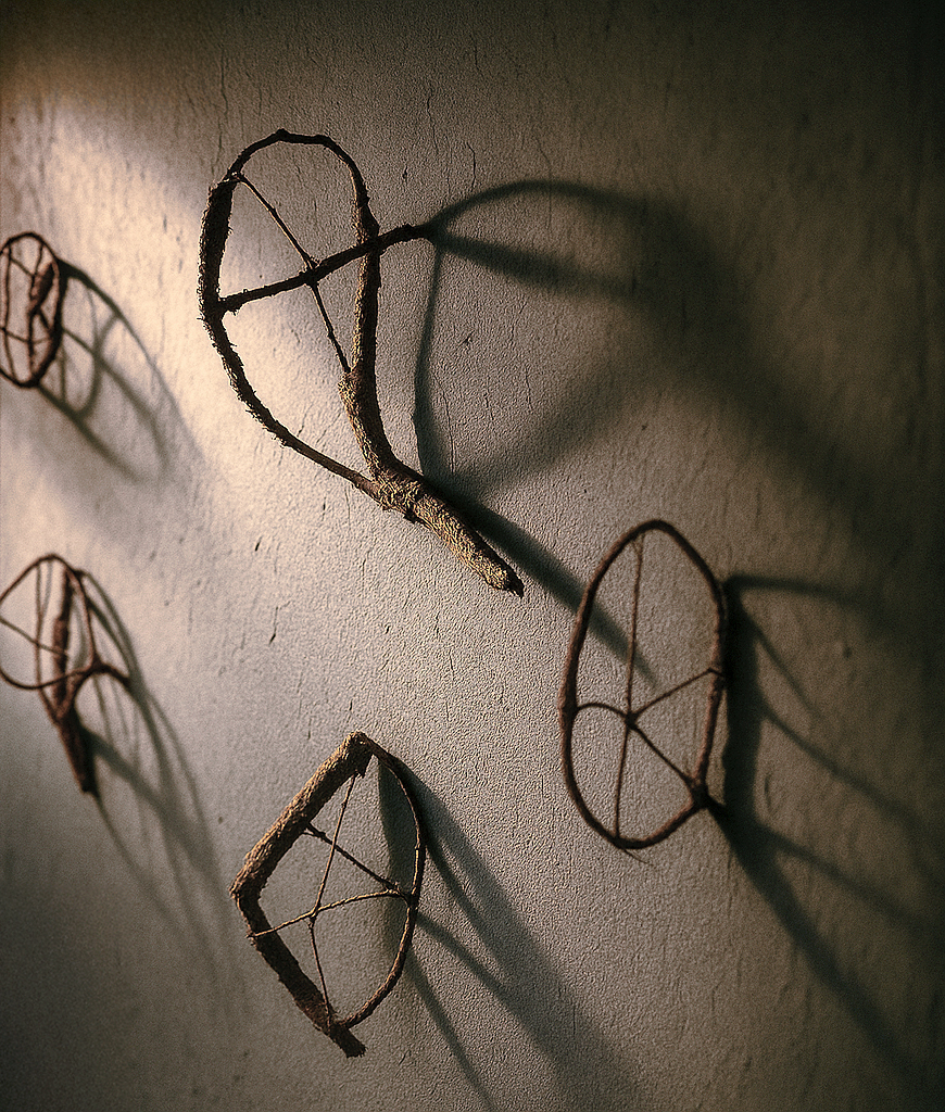 Axis Mundi: close-up of twig forms and their shadows on plaster