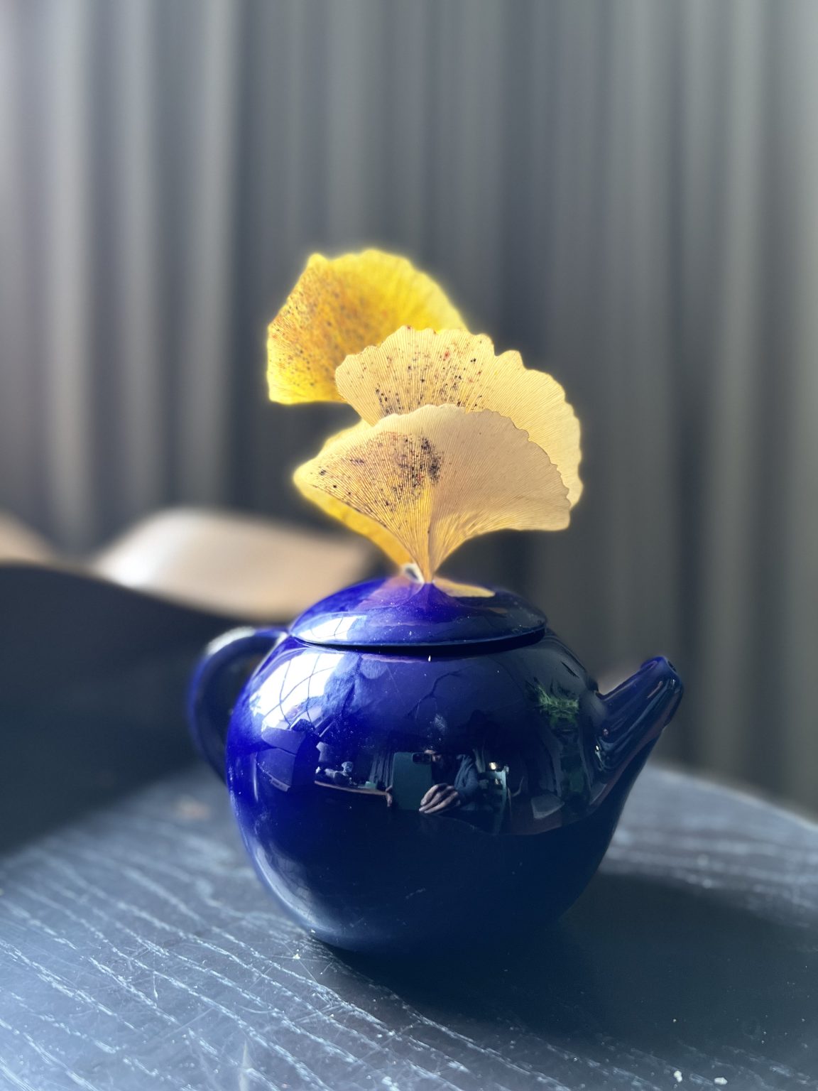 Teapot ceramic project: cobalt blue teapot with ginkgo leaves